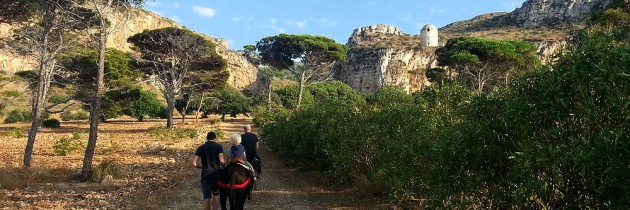 Een tochtje met ezeltjes op het landgoed van Tenuta Pizzolungo