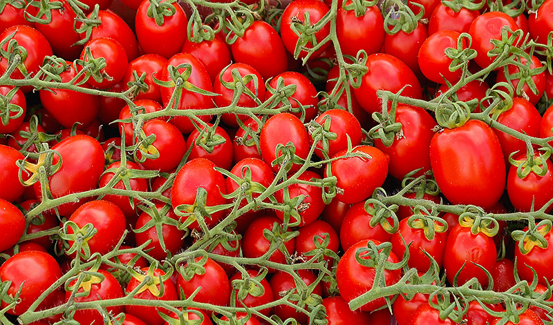 Siciliaanse tomaten