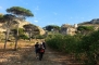 Tochten met ezeltjes op het landgoed van Tenuta Pizzolungo op Sicilie  - 3880
