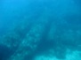 Blue Sea Diving in Taormina op Sicilië - 2015