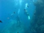 Blue Sea Diving in Taormina op Sicilië - 2018