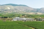 Enologica Cassarà wine producer in Alcamo op Sicilië - 3829
