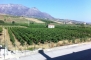 Enologica Cassarà wine producer in Alcamo op Sicilië - 3831